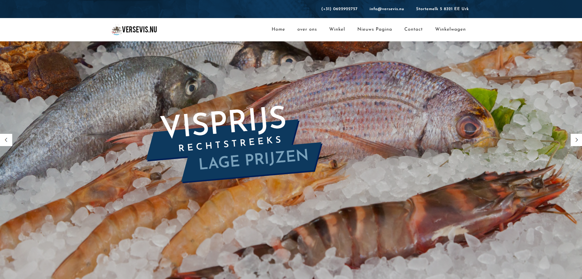 Verse Vis octopus BV